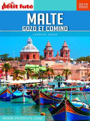 cover image of MALTE 2019/2020 Petit Futé